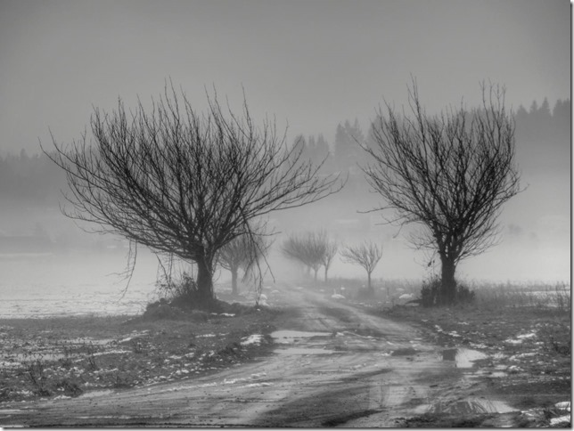 Pacific Estuary Conservation Program,Ducks Unlimited,Farquharson Farms Pacific Estuary Conservation Program,Ducks Unlimited,Farquharson Farms