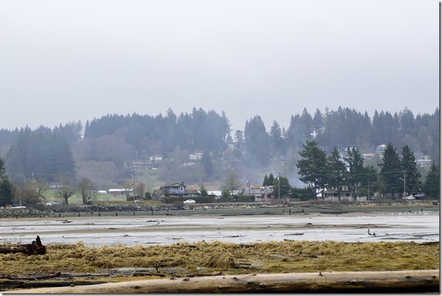Comox Estuary,Courtenay Riverway Heritage Walkway,time lapse, nature,river