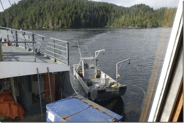 Frances Barkley,ships,Alberni Inlet,ocean,Bamfield,Lady Rose Marine,nature,Oysters,Sarita,Trevro Channel,Sproat Bay,aquaculture