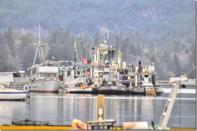 Petrel,Deep Bay,tug boats,tug