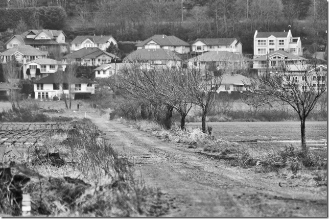 Pacific Estuary Conservation Program,Ducks Unlimited,Farquharson Farms Pacific Estuary Conservation Program,Ducks Unlimited,Farquharson Farms