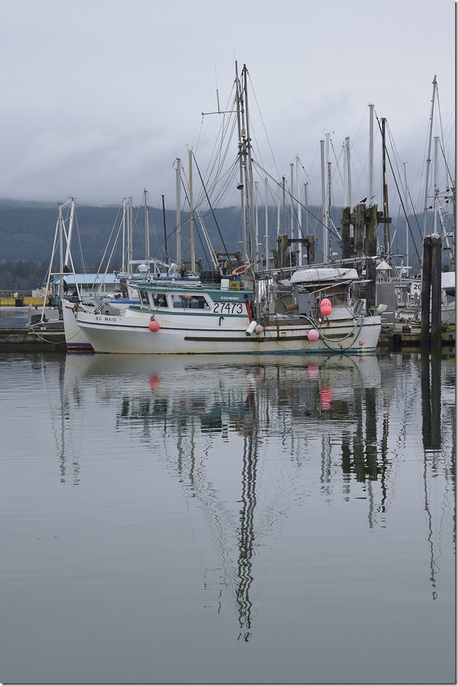 Deep Bay,fish boat,Ocean Maid