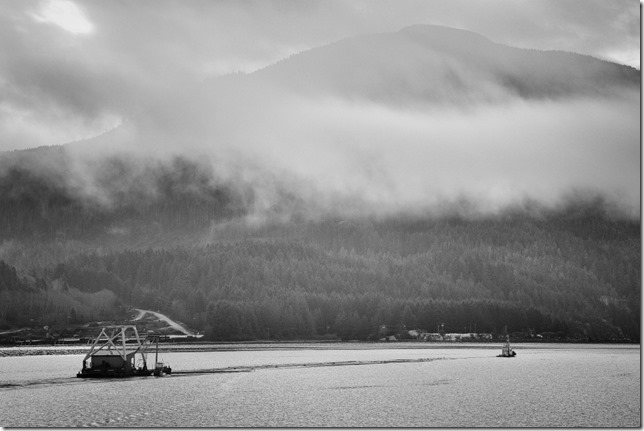 ,ships,Alberni Inlet,logging,tugs