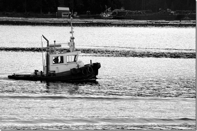 ,ships,Alberni Inlet,tugs,tug boats,Barkley Sound,Aqua Force