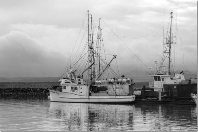 Comox Marina,fish boat,ships,marina,Comox Harbour,Triple M III