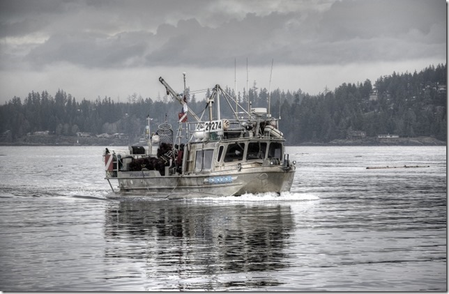 fish boat,ships,marina,Campbell River,Gstar,Discovery Passage