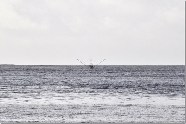 Barkley Sound,ocean,West Coast