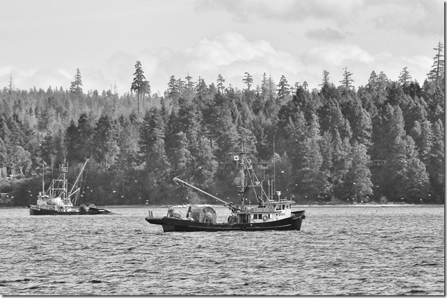 Baynes Sound,ocean,ships,fish boats,herring run,Denman Island