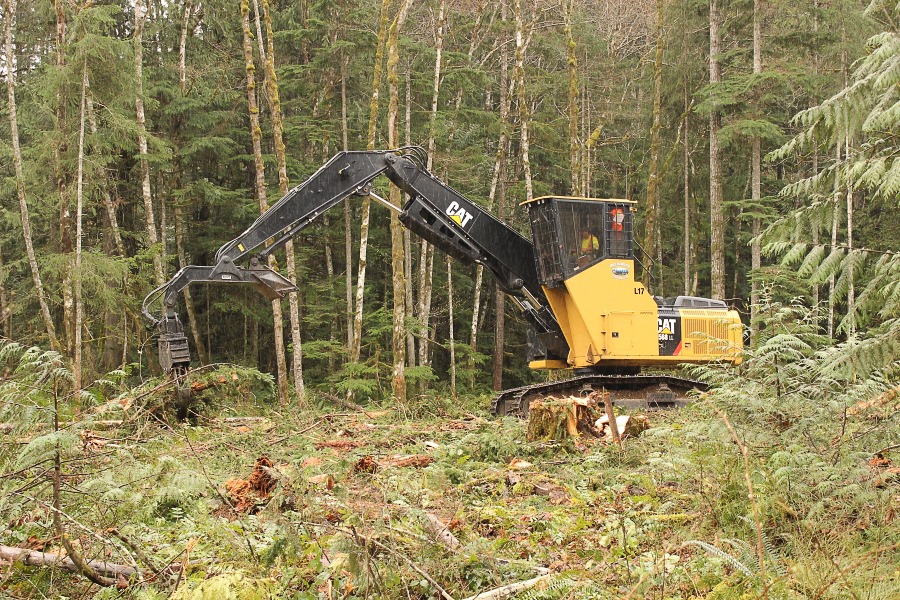 Comox Lake Logging
