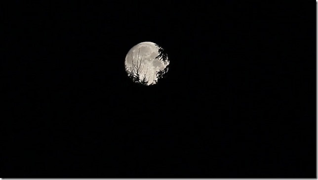 moon,time lapse,night,exisiting light photography