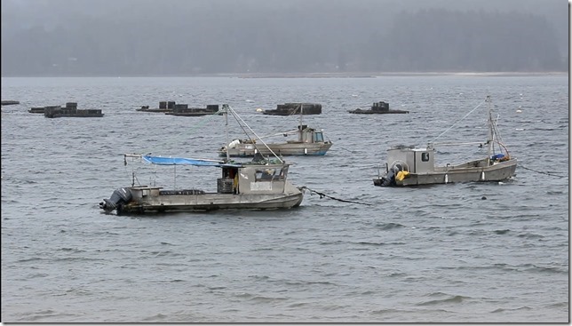 Fanny Bay, Oyster Boats,storm,Baynes Sound