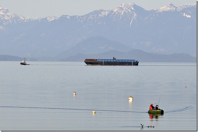 BC Ferries,Gabriola Island,Georgia Strait,British Columbia,Gulf Islands,Queen of Alberni,barge,tug,Gabriola Sands Provincial Park