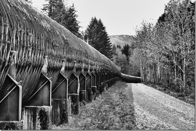 BC Hydro,Puntledge penstock pipeline,Puntledge Generating Station