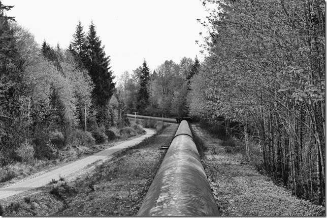 BC Hydro,Puntledge penstock pipeline,Puntledge Generating Station