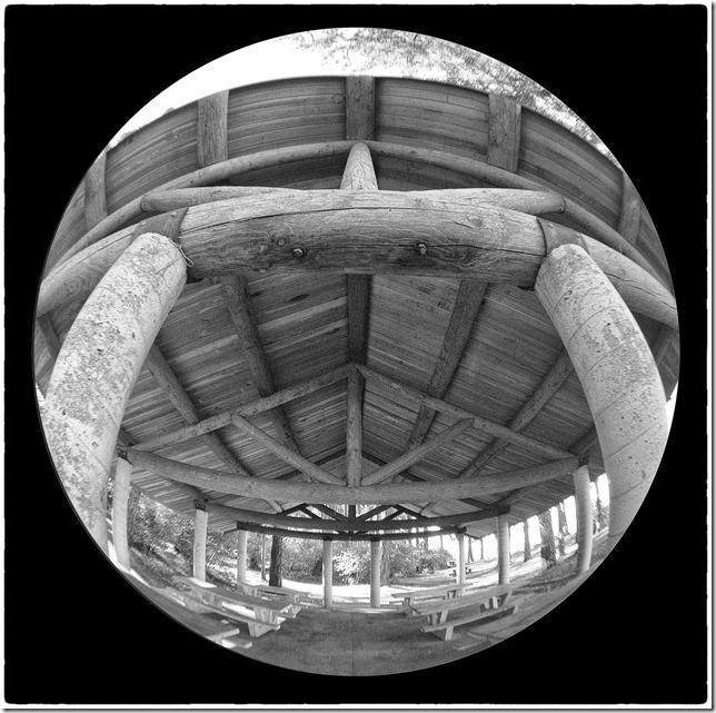fisheye,Provincial Park,wood,photography