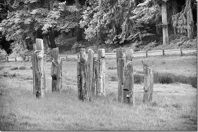 Salt Spring Island,wooden men,wood statues,Gulf Islands