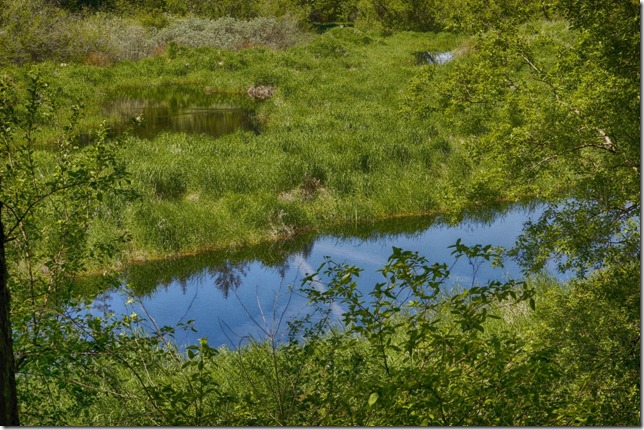 Lazo Marsh,Lazo,nature,hiking,oudoors,spring