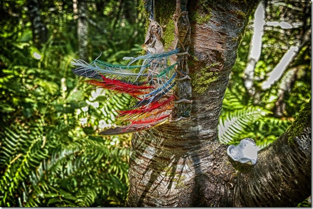 Lazo Marsh,Lazo,nature,hiking,oudoors,spring