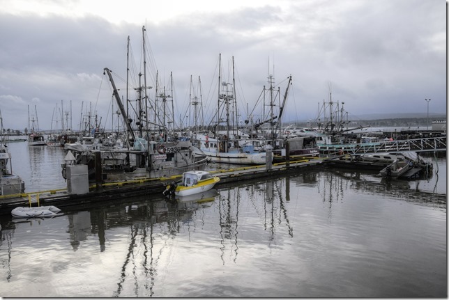 ships,fish boats, Comox Fisherman&rsquo;s Wharf,marina,fishing boats,shrimp