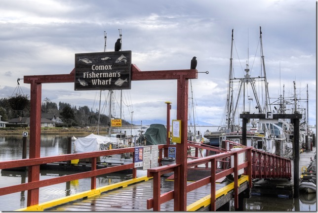 ships,fish boats, Comox Fisherman&rsquo;s Wharf,marina,fishing boats,crows