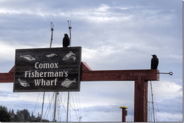ships,fish boats, Comox Fisherman&rsquo;s Wharf,marina,fishing boats,crows