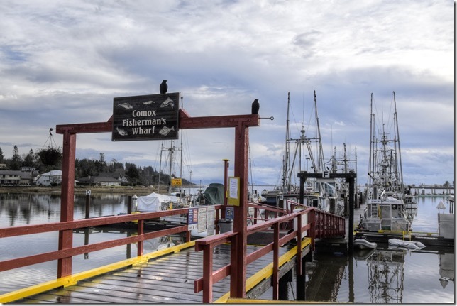 ships,fish boats, Comox Fisherman&rsquo;s Wharf,marina,fishing boats,crows