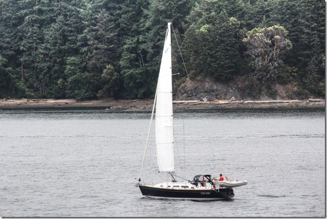 ships.boats,sailing,ocean,Gulf Islands