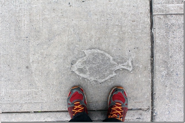 Ottawa,Byward Market,street art,fish,sidewalk art