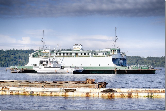 Small Waterplane Area Twin Hull (SWATH),ships,Fanny Bay,Baynes Sound,Rhododendron,HIghway 19 A,sea lions Small Waterplane Area Twin Hull (SWATH),ships,Fanny Bay,Baynes Sound,Rhododendron,HIghway 19 A,sea lions