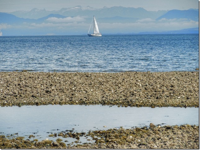 Royston,ocean,sailboat,Salish Sea,ocean,beach,Baynes Sound,mountain,Georgia Strait