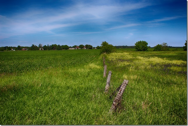 Ontario,field,farming,grass,fence,summer,Cumberland Ontario