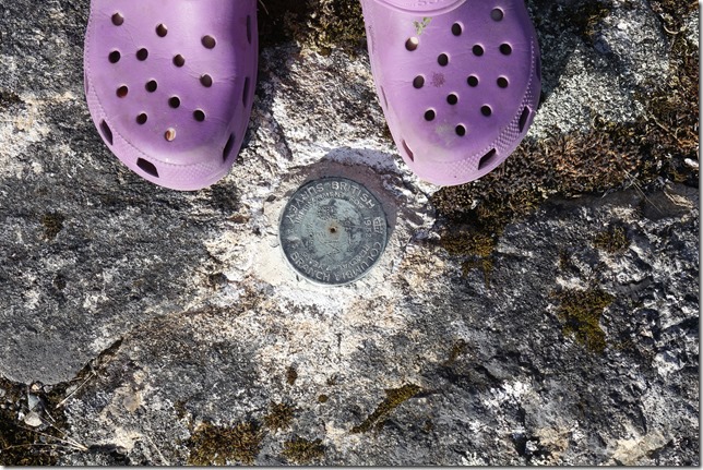 McLoughlin Point,Department Of National Defence ,geodetic survey marker,geodetic datum,Esquimalt