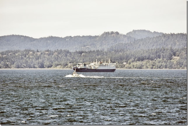 CS Wave Venture,Ogden Point,ships,Victoria CS Wave Venture,Ogden Point,ships,Victoria