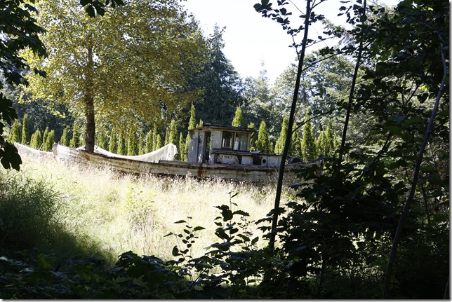 An old wooden boat lying in a field near Cougar Creek above Fanny Bay