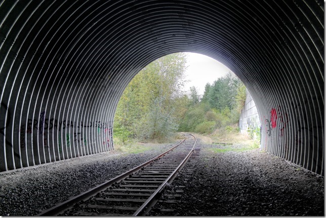 E&N, rail, rail road, rail way,Vancouver Island,tunnel,Ladysmith,Highway 1,culvert