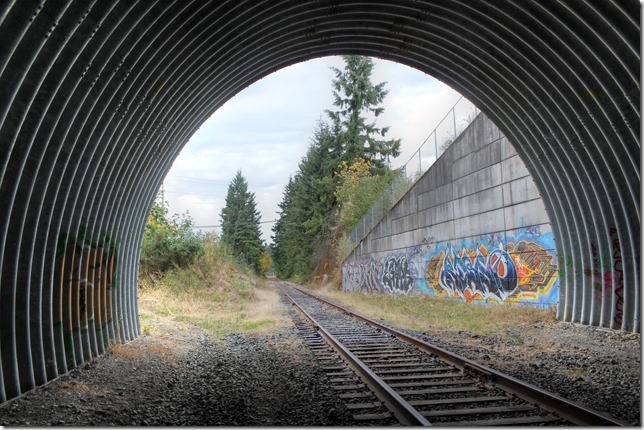 E&N, rail, rail road, rail way,Vancouver Island,tunnel,Ladysmith,Highway 1,culvert