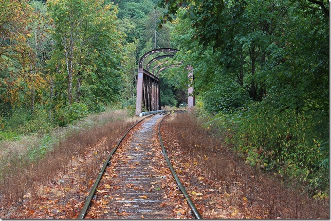 E&N, rail, rail road, rail way,Vancouver Island,bridge