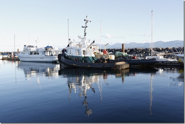Comox Marina,tugboats,ships,marina,Comox Harbour,Rapid Providour