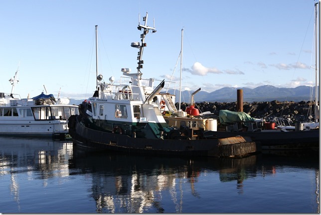 Comox Marina,tugboats,ships,marina,Comox Harbour,Rapid Providour