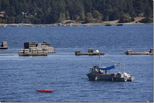 Baynes Sound,Highway 19A,ocean,Oyster boats,ships,fish boat,Fanny Bay