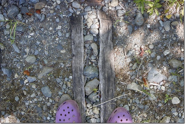 rail,trains,E & N Railway,history,The train don&rsquo;t run here anymore