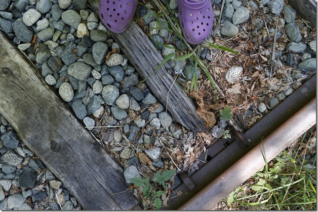 rail,trains,E & N Railway,history,The train don&rsquo;t run here anymore