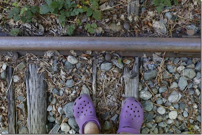 rail,trains,E & N Railway,history,The train don&rsquo;t run here anymore