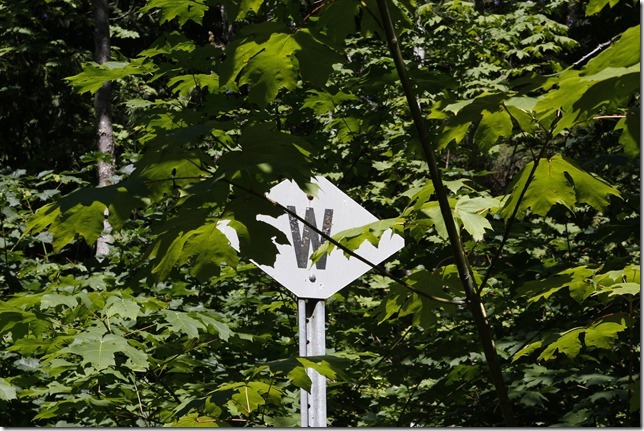 E&N, rail, rail road, rail way,Vancouver Island