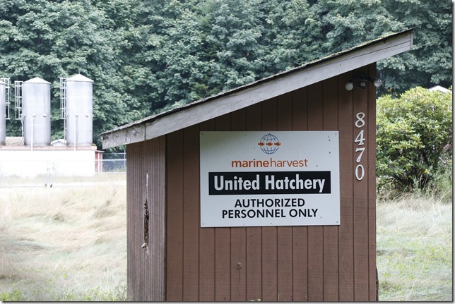United Hatchery,hatchery