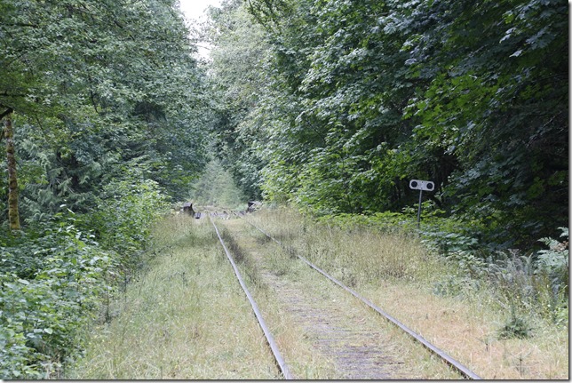 E&N, rail, rail road, rail way,Vancouver Island,Rosewell Creek,bridge,HIghway 19 A