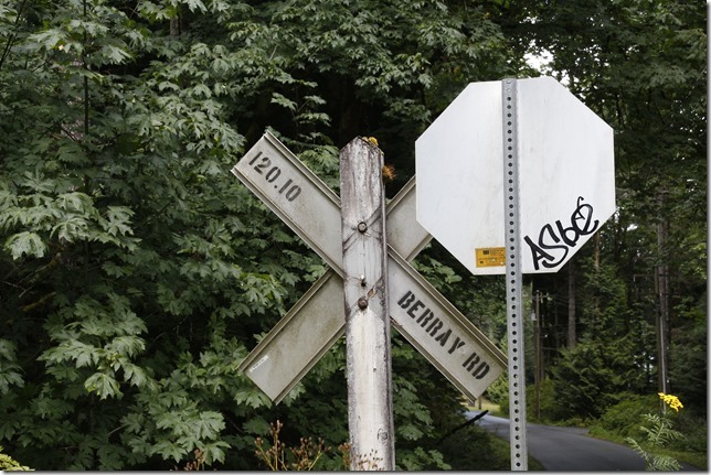 E&N, rail, rail road, rail way,Vancouver Island,Rosewell Creek,bridge,HIghway 19 A