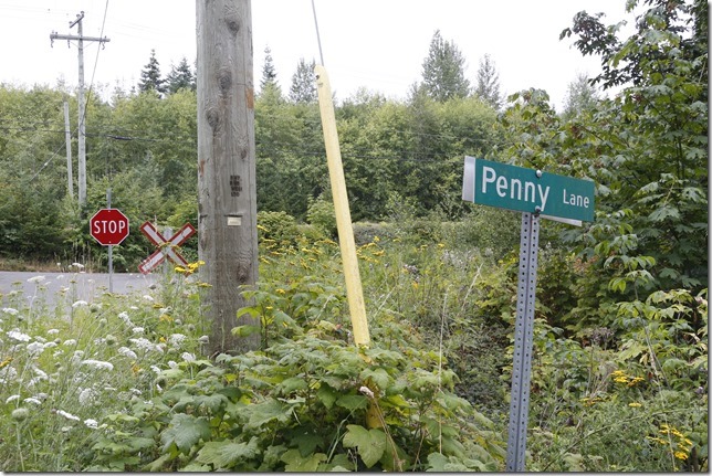 Highway 19 A,Fanny Bay,signs