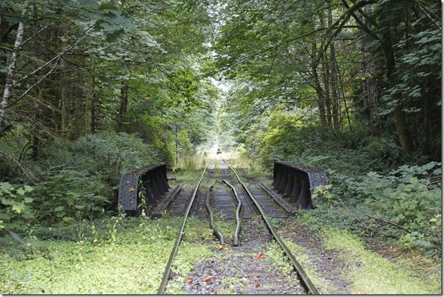 E&N, rail, rail road, rail way,Vancouver Island,bridge