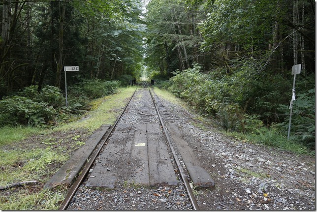 E&N, rail, rail road, rail way,Vancouver Island,bridge